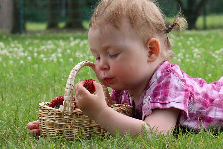 Kind nascht Erdbeeren auf einer Wiese