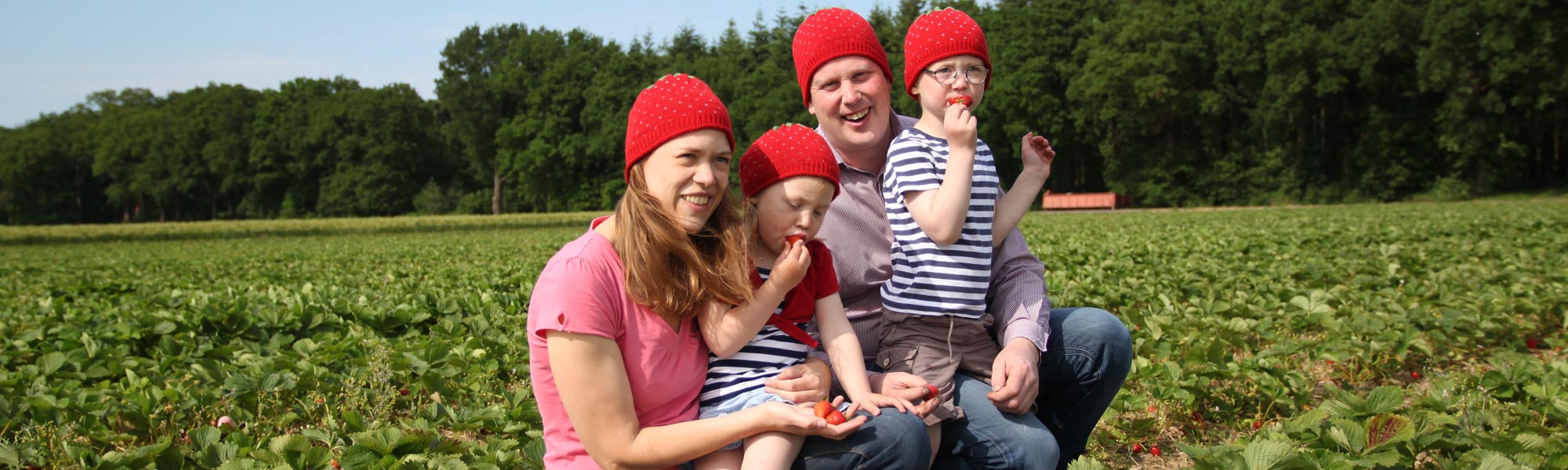 Familie Döpke mit Erdbeermützen auf einem Erdbeerfeld
